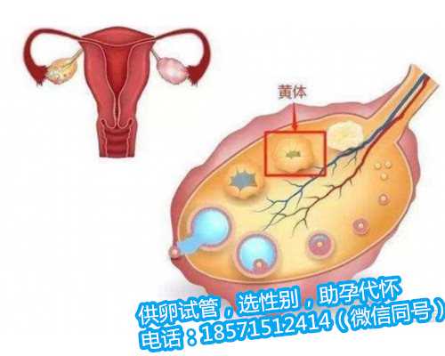 有子宫内膜炎可以广西还能代孕吗吗